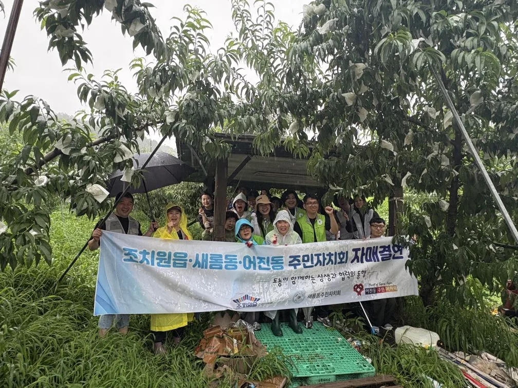 세종 전동면 복숭아 수확 한창… 조치원·새롬·어진 힘 모아 농가 지원