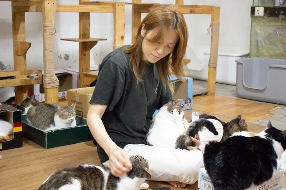 냥블리네가 말하는 유기묘 보호 현장의 현실｜인터뷰